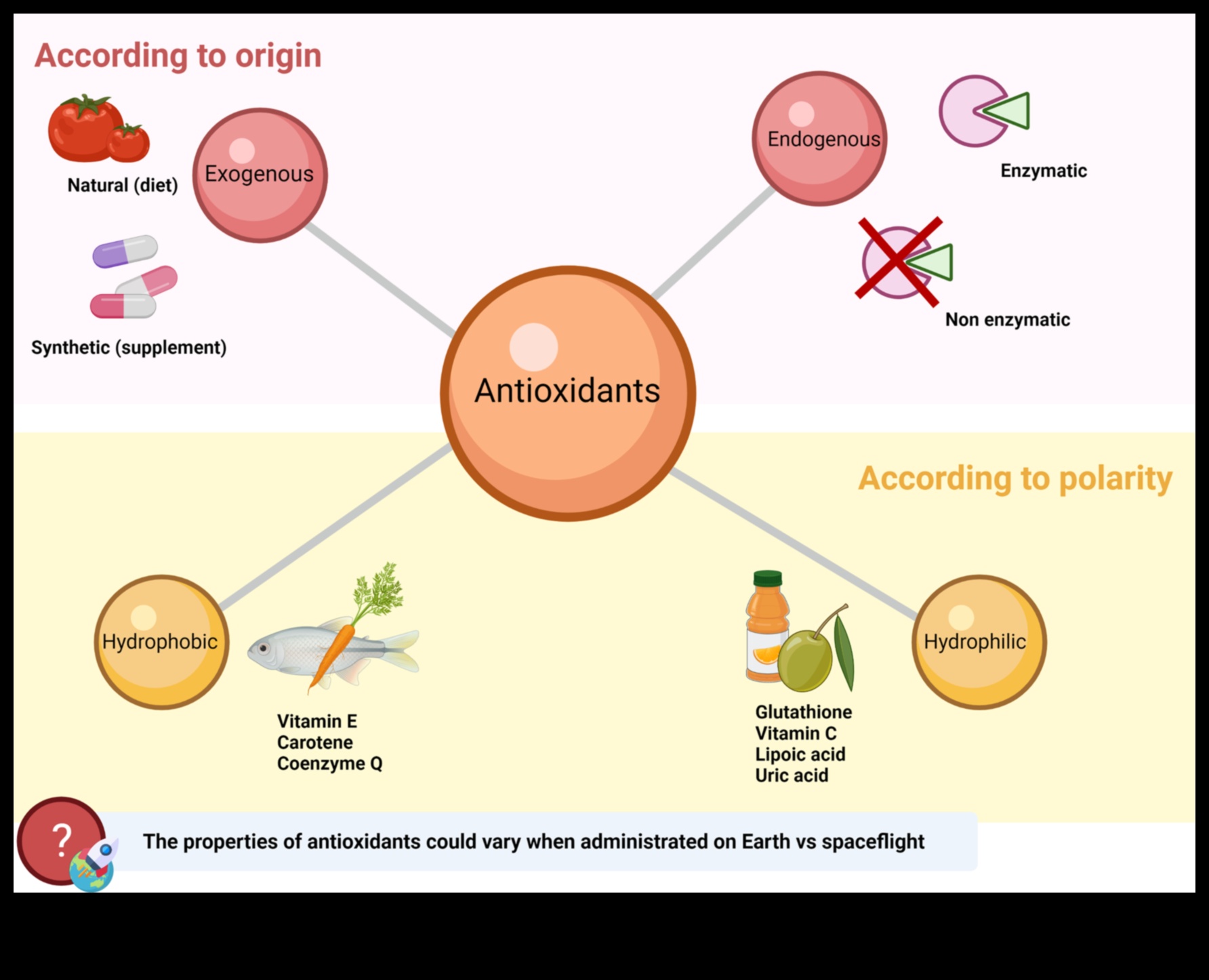 Αντιοξειδωτικός εξερευνητής χαράσσει ένα μονοπάτι για μια μακρύτερη, υγιέστερη και πιο λαμπερή ζωή 2 Αντιοξειδωτικός Εξερευνητής: Χάραξη μονοπατιών για μια ακτινοβόλο ζωή