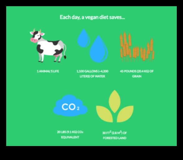 Οι περιβαλλοντικές επιπτώσεις ενός χορτοφαγικού τρόπου ζωής