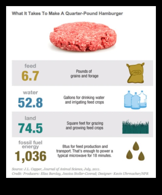 Οι περιβαλλοντικές επιπτώσεις ενός χορτοφαγικού τρόπου ζωής