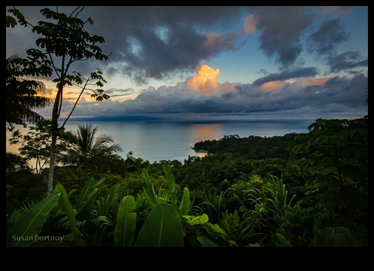 Scenic Panorama: A Visual Feast of Diverse Landscapes