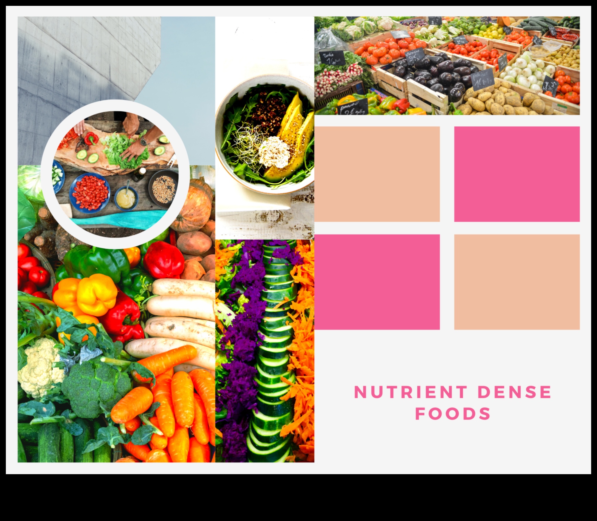 The Nutrient Palette: Painting Your Path to Success in Nutrition Counselling