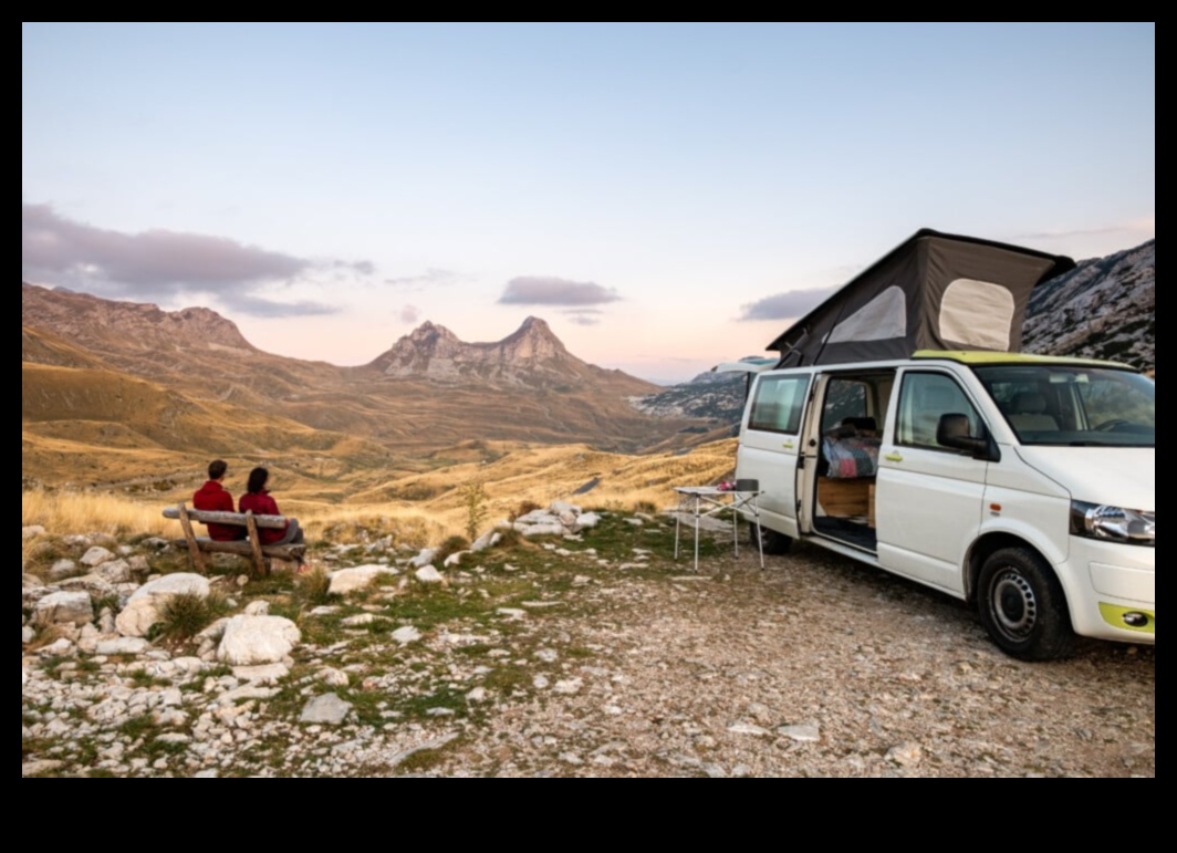 Vanning for a Cause: Community Initiatives and Philanthropy on the Road