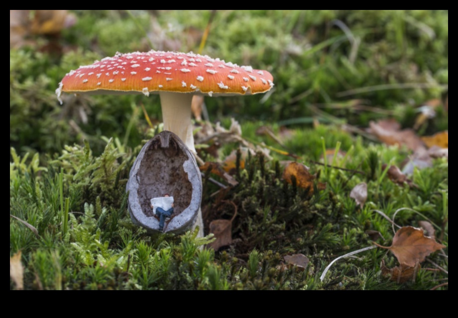 Tiny Worlds, Big Impact The Art of Macro Photography 4 Tiny Worlds, Big Impact: Exploring the Artist of Macro Photography