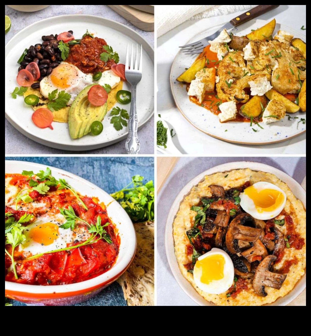 Δευτέρες χωρίς κρέας 50+ νόστιμες συνταγές 5 Meatless Wonders: Δημιουργία γευστικών χορτοφαγικών γευμάτων