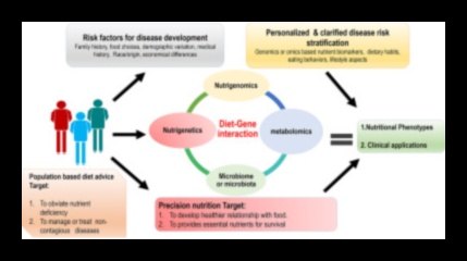 Mapping Health: A Nutrigenomics Exploration