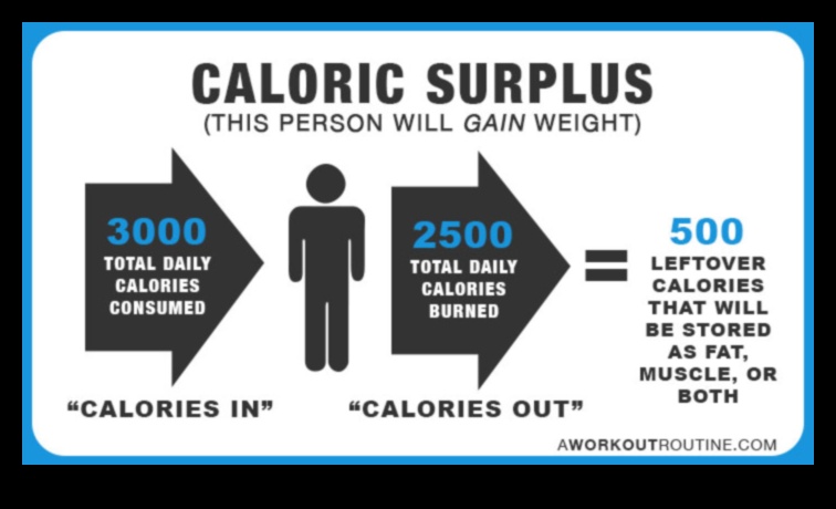 Ο οδηγός 3 βημάτων για ένα πλεόνασμα θερμίδων 4 Δημιουργία πλεονάσματος θερμίδων: Το κλειδί για την αποτελεσματική αύξηση βάρους