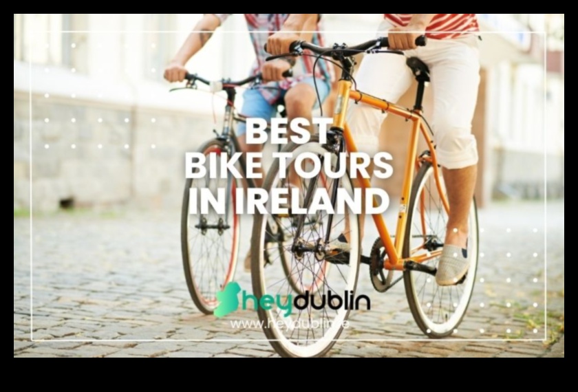 Pedal Bliss: Exploring the Serenity of Leisurely Bicycling