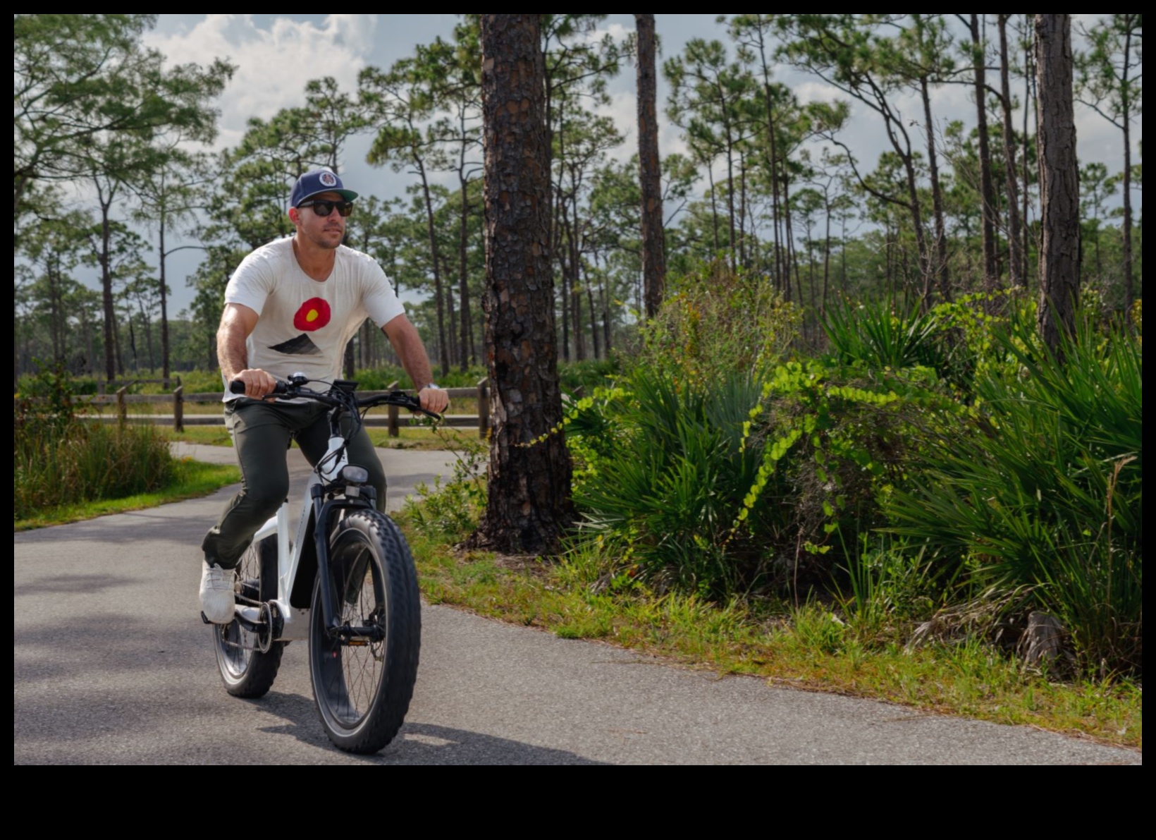 Pedal Bliss: Exploring the Serenity of Leisurely Bicycling