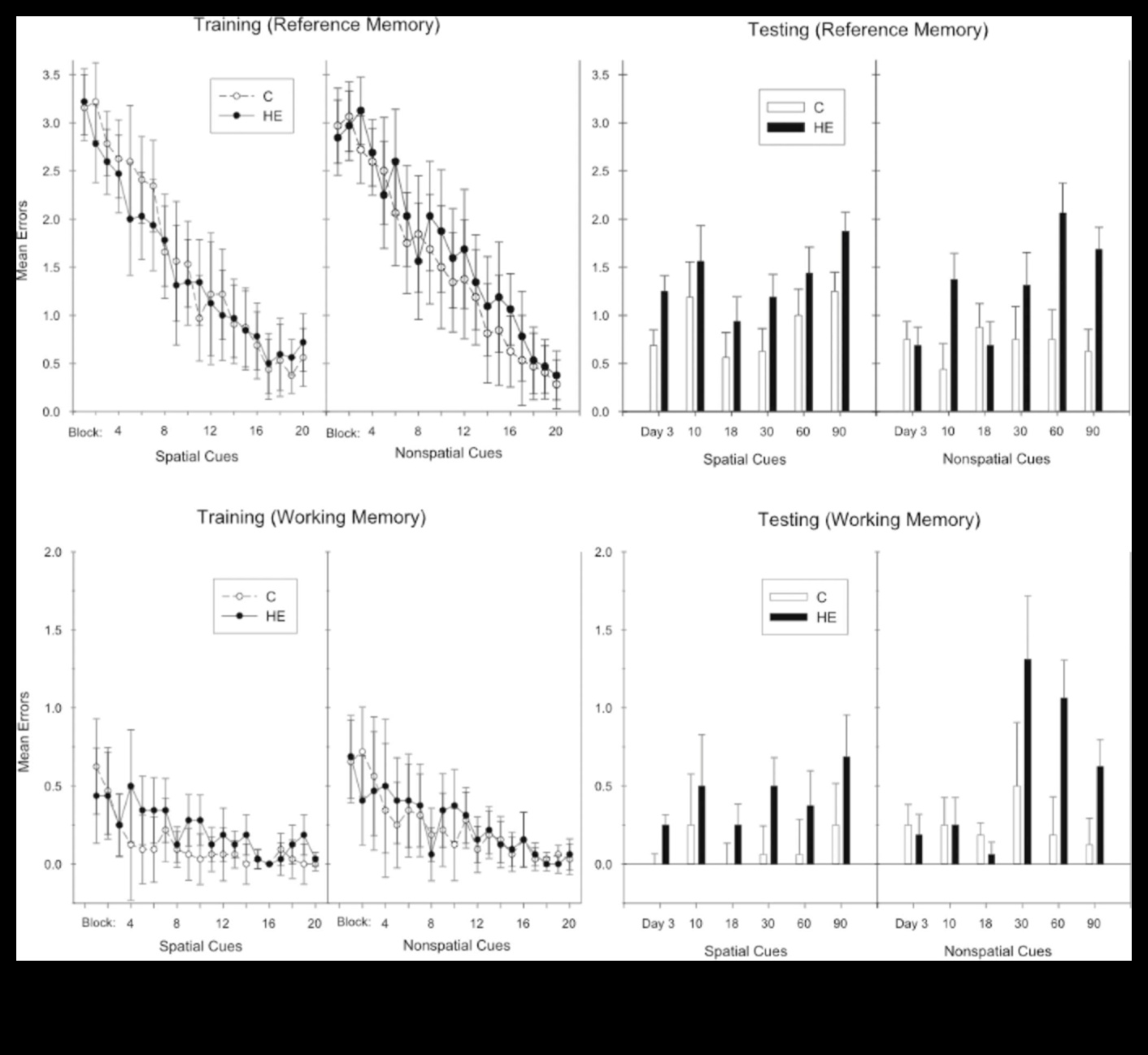 Διατήρηση Επιπέδων Ενέργειας: Η σχέση με τις μακροχρόνιες δίαιτες