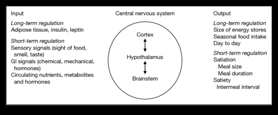 Διατήρηση Επιπέδων Ενέργειας: Η σχέση με τις μακροχρόνιες δίαιτες