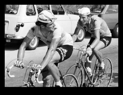 Cycling Chronicles: Stories from the World of Biking