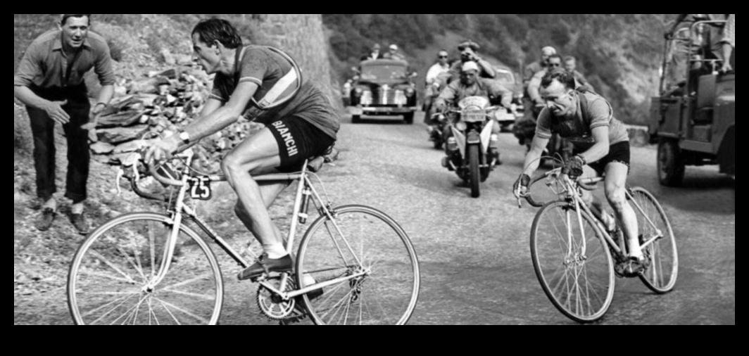 Cycling Chronicles: Stories from the World of Biking