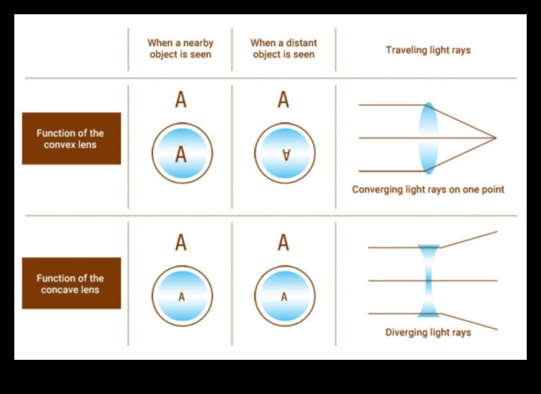 Lens Legacy: Exploring the Rich Heritage of High-Performance Optics