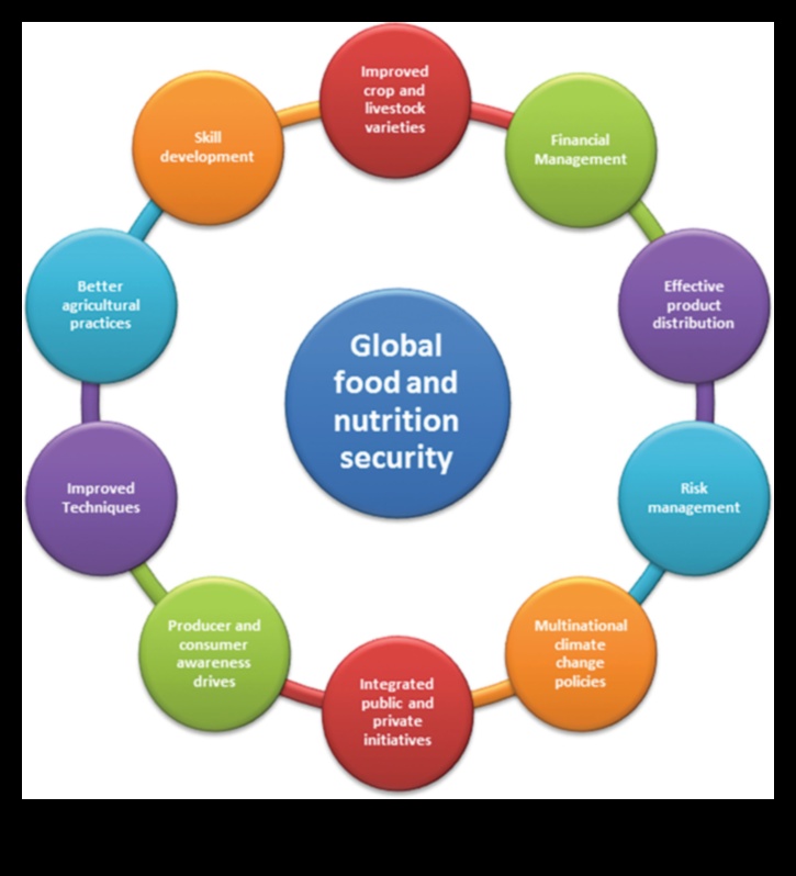 Global Perspectives on Public Health Nutrition: A Culinary Journey