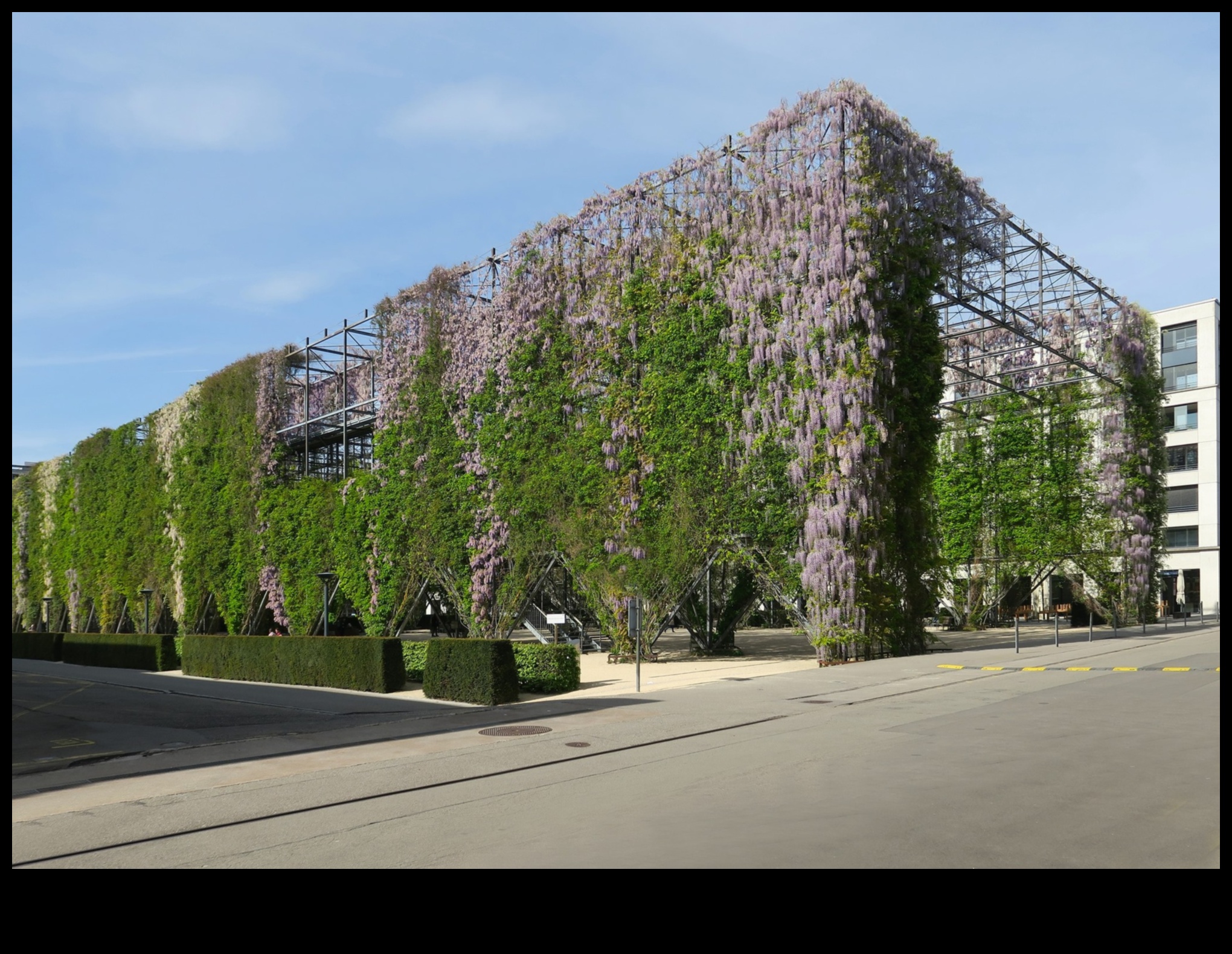 Σχεδιαγράμματα στο Bloom που αποτυπώνουν την ομορφιά της αστικής αρχιτεκτονικής 3 Blueprints in Bloom: Capturing Urban Beauty in Architectural Wonders