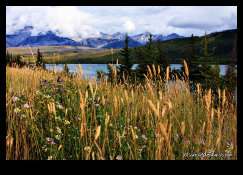 Στην καρδιά της φύσης: Εικόνες τοπίων που κόβουν την ανάσα