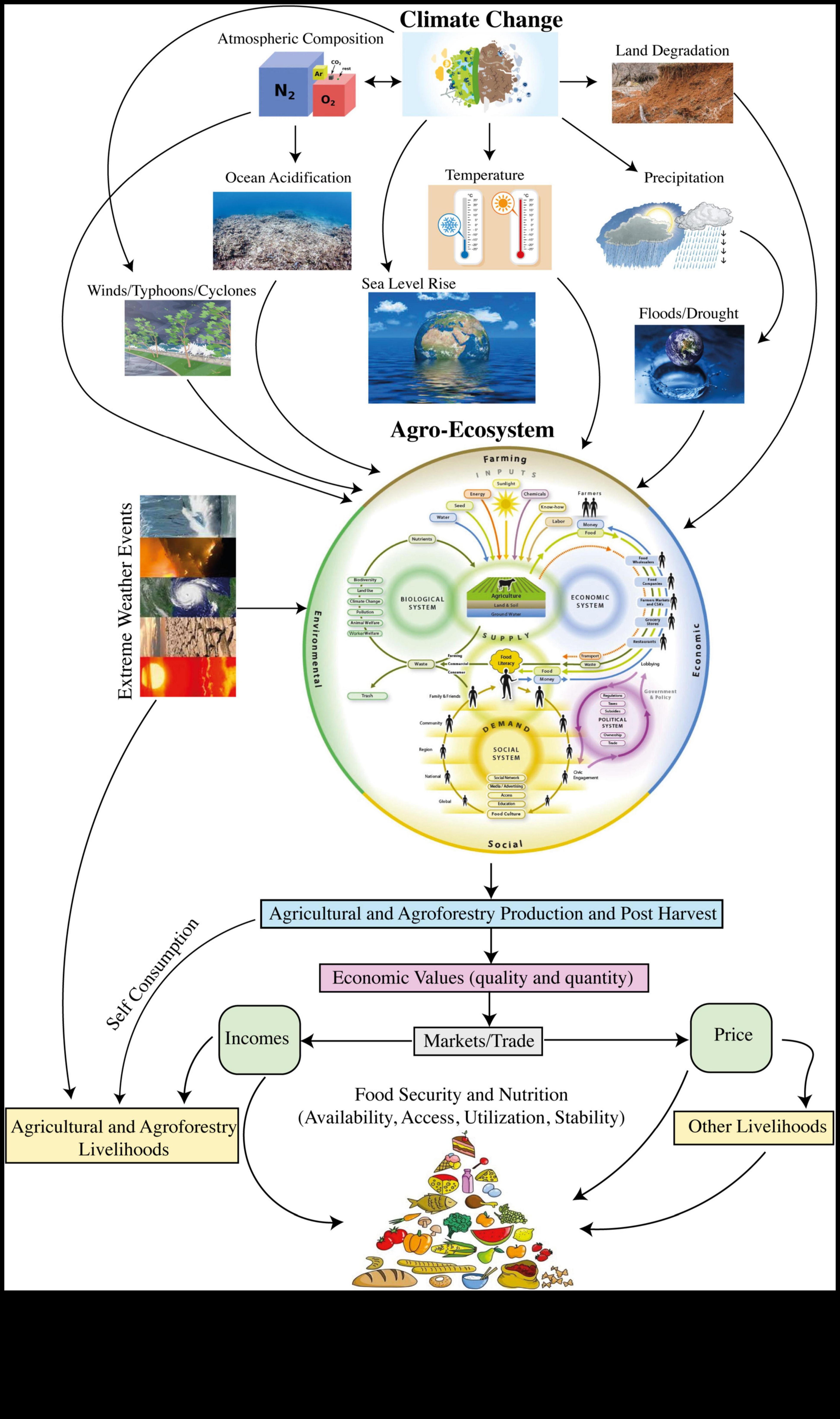 Αποκαλύπτοντας τα κενά θρεπτικών συστατικών: Στρατηγικές για την πρόληψη της ανεπάρκειας