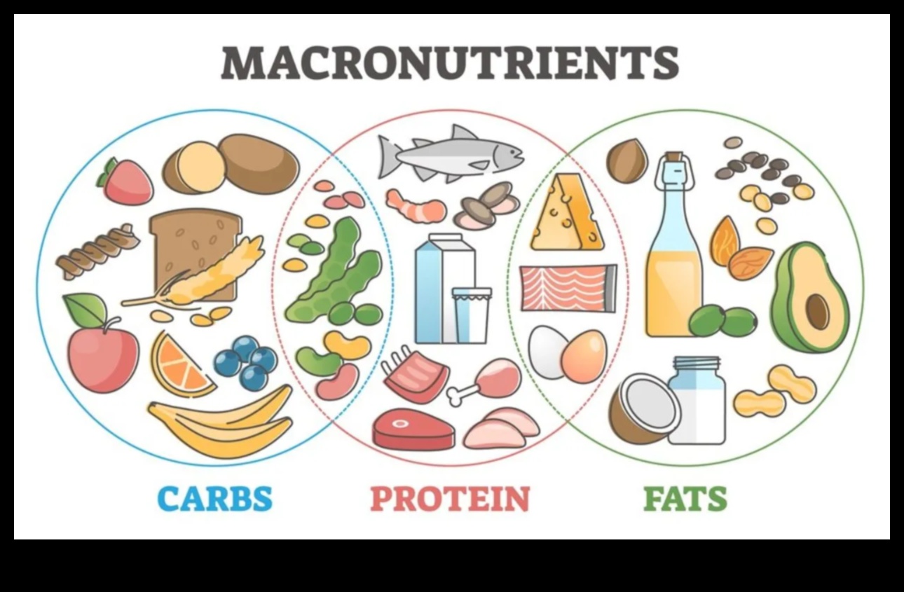 Μακροθρεπτικό φάσμα: Εξερευνώντας τα χρώματα της υγείας