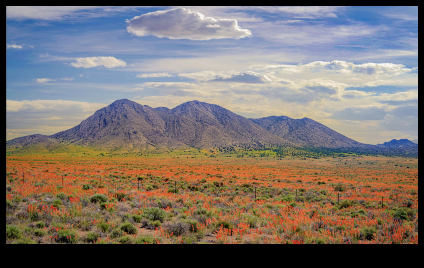 Where Beauty Meets Earth: Landscape Spectacles