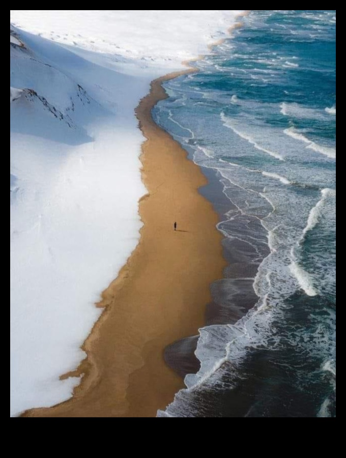 Ακτές στο Focus III: Ανακαλύπτοντας ξανά τα παράκτια και τα παράκτια θαύματα για άλλη μια φορά