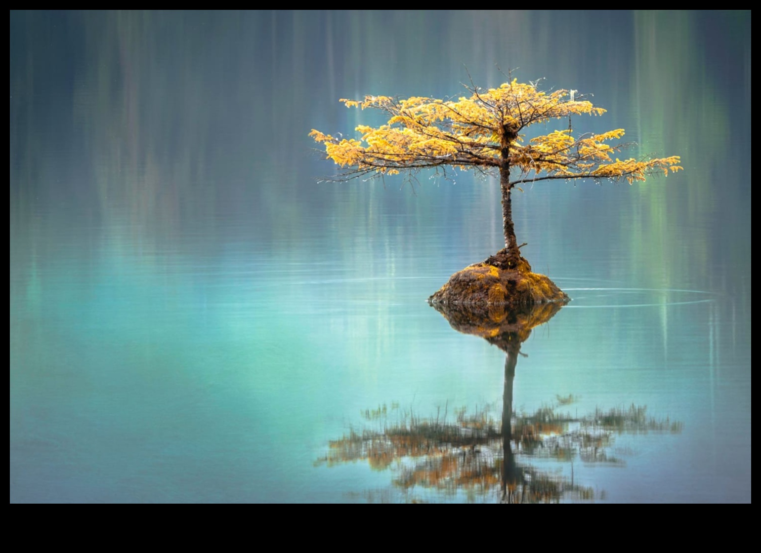 Reflections Refined: Techniques for Stunning Water Photography