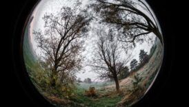 Fisheye Fantasia Εξερευνήστε τον κόσμο εντός μέσω έναν νέο φακό 2 Fisheye Fantasia: Δημιουργικότητα χωρίς παραμόρφωση σε φακούς κάμερας