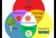 Mapping Health: A Nutrigenomics Exploration