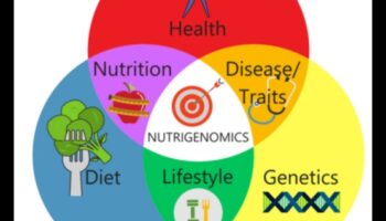 Mapping Health: A Nutrigenomics Exploration