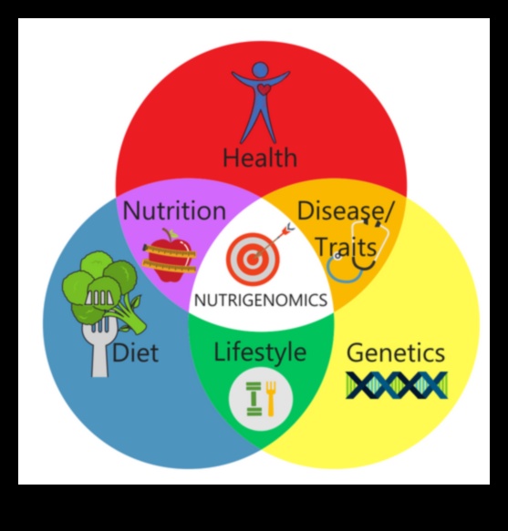 Mapping Health: A Nutrigenomics Exploration
