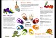 The Nutrient Spectrum: Colors of Health in Nutrition Biochemistry