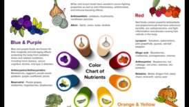 The Nutrient Spectrum: Colors of Health in Nutrition Biochemistry