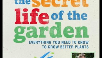 Καταπράσινα καταφύγια: Κήποι και χώροι πρασίνου που ανακαλύφθηκαν ξανά