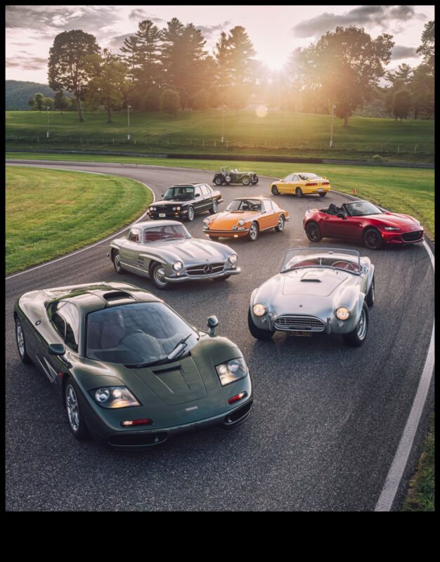 Trackside Chronicles: The Racing Iconic Sports Cars