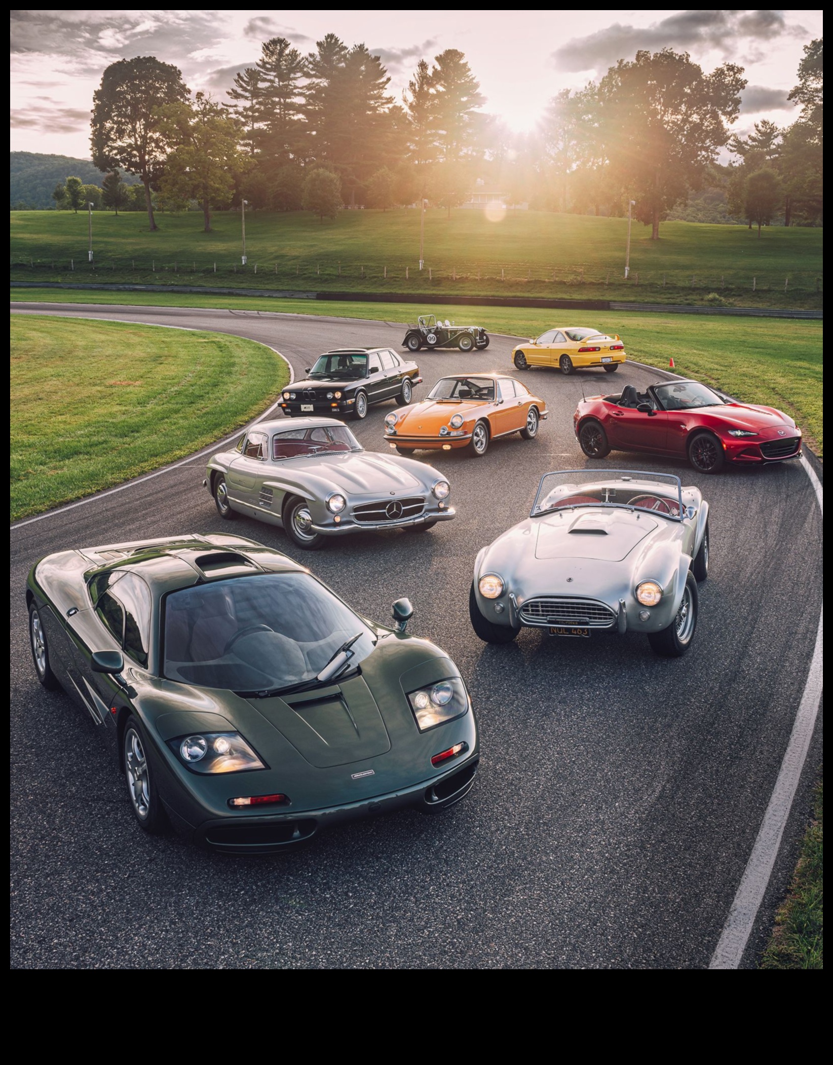 Trackside Chronicles: The Racing Iconic Sports Cars