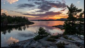 Where Beauty Meets Earth: Landscape Spectacles