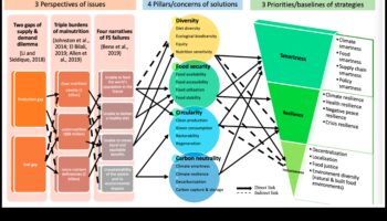 Αποκαλύπτοντας τα κενά θρεπτικών συστατικών: Στρατηγικές για την πρόληψη της ανεπάρκειας