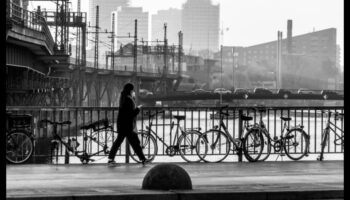 Cityscape Conveyance: Πλοήγηση στην αστική ζούγκλα με επαγγελματικά οχήματα