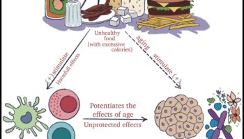 Βέλτιστη Διατροφή: Τα ABC της αριστείας των μακροθρεπτικών συστατικών
