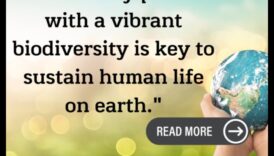 Βιοποικιλότητα Το σημαντικό πράγμα για έναν υγιή πλανήτη 4 Τροπικά δάση: Βιοποικιλότητα σε καταπράσινα τοπία