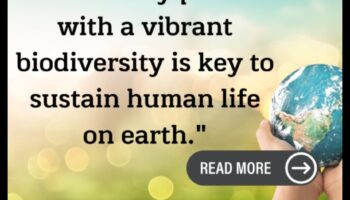 Τροπικά δάση: Βιοποικιλότητα σε καταπράσινα τοπία