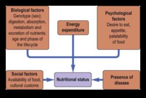 Βιοχημική ισορροπία: Πλοήγηση στα μονοπάτια της διατροφικής υγείας