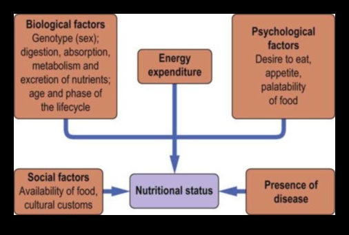 Βιοχημική ισορροπία Το κλειδί για τη διατροφική υγεία 1 Βιοχημική ισορροπία: Πλοήγηση στα μονοπάτια της διατροφικής υγείας