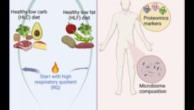 Διατήρηση Επιπέδων Ενέργειας: Η σχέση με τις μακροχρόνιες δίαιτες