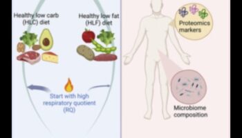 Διατήρηση Επιπέδων Ενέργειας: Η σχέση με τις μακροχρόνιες δίαιτες