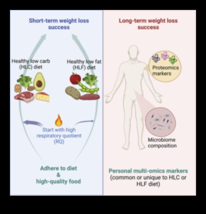Διατήρηση Επιπέδων Ενέργειας: Η σχέση με τις μακροχρόνιες δίαιτες