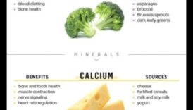 Ζωή πλούσια σε θρεπτικά συστατικά: Βελτιώστε την ευεξία με βασικά μικροθρεπτικά συστατικά