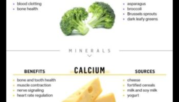 Ζωή πλούσια σε θρεπτικά συστατικά: Βελτιώστε την ευεξία με βασικά μικροθρεπτικά συστατικά