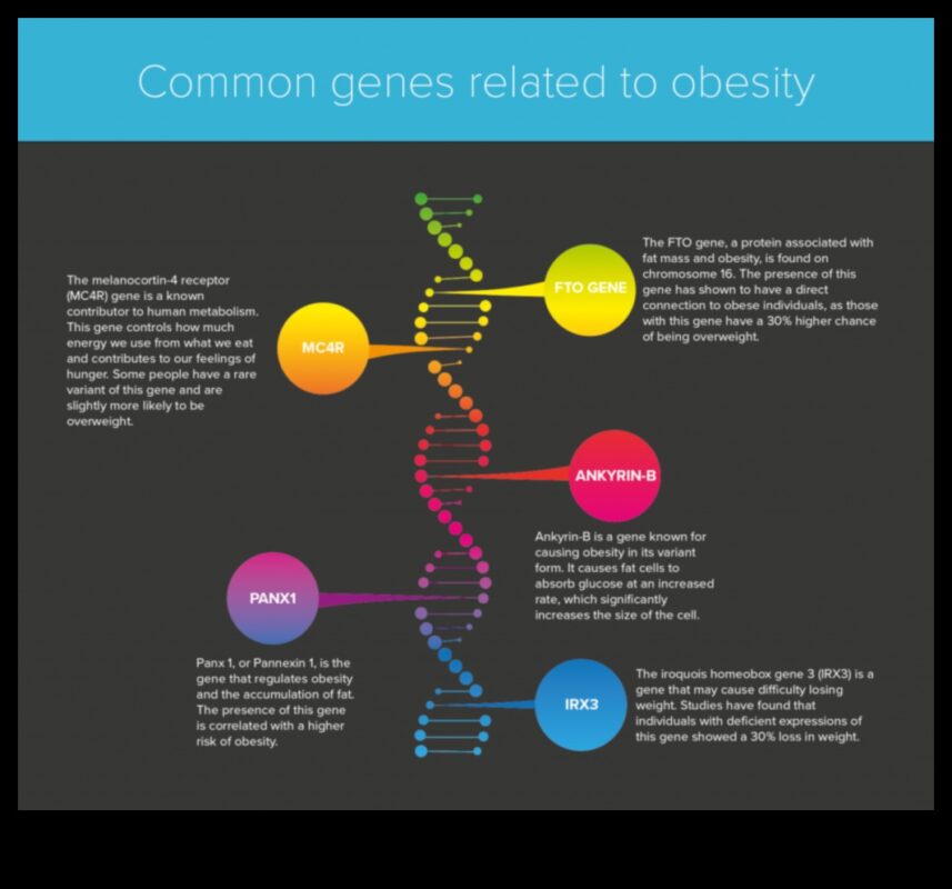 Η επίδραση της γενετικής στη δίαιτά σας για απώλεια βάρους