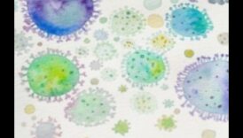 Microscopic Poetry: Crafting Visual Verses Through Macro Lens