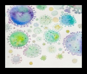 Microscopic Poetry: Crafting Visual Verses Through Macro Lens